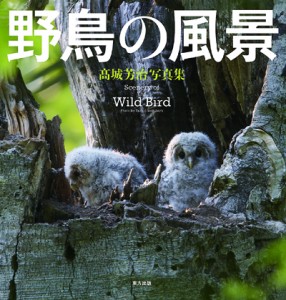 写真集 野鳥の風景 写真集 野鳥の風景