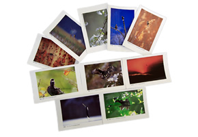 10cards