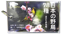 日本の野鳥78種~身近な野鳥編~