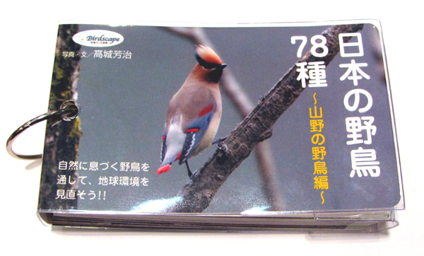 日本の野鳥78種~山野の野鳥編~