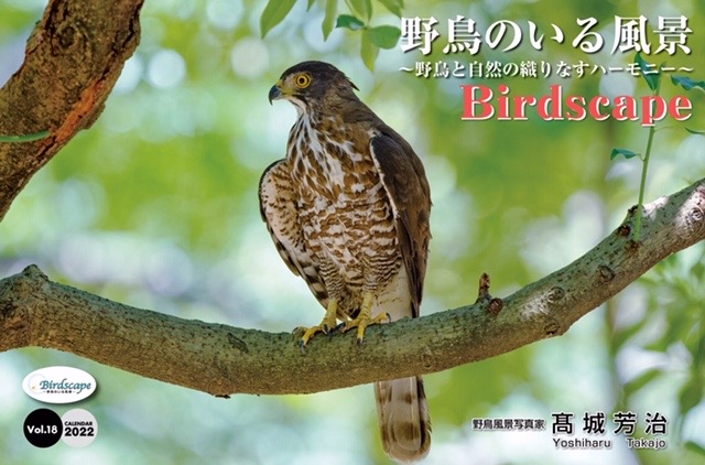 http://www.nature-bird.com/wp-content/uploads/2021/12/159FCCCA-DF24-47E2-A2A6-990EEED6374D.jpg