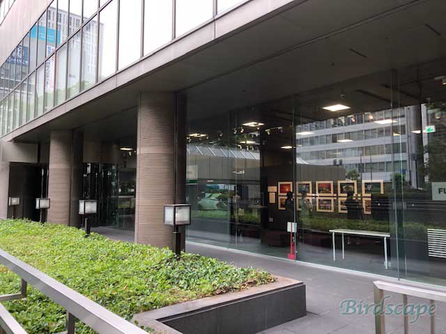 大阪展