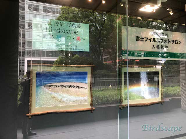 大阪展