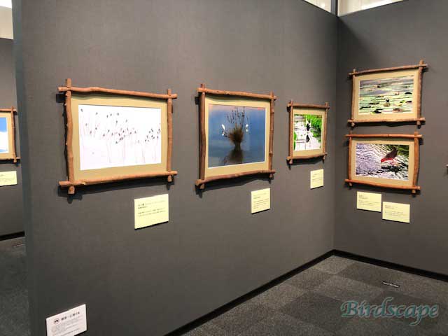 大阪展