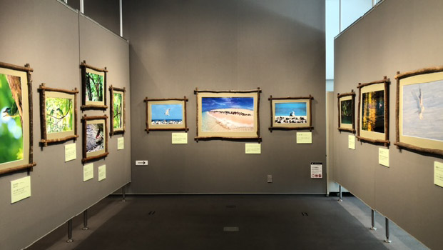 東京展
